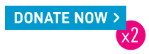 donate now