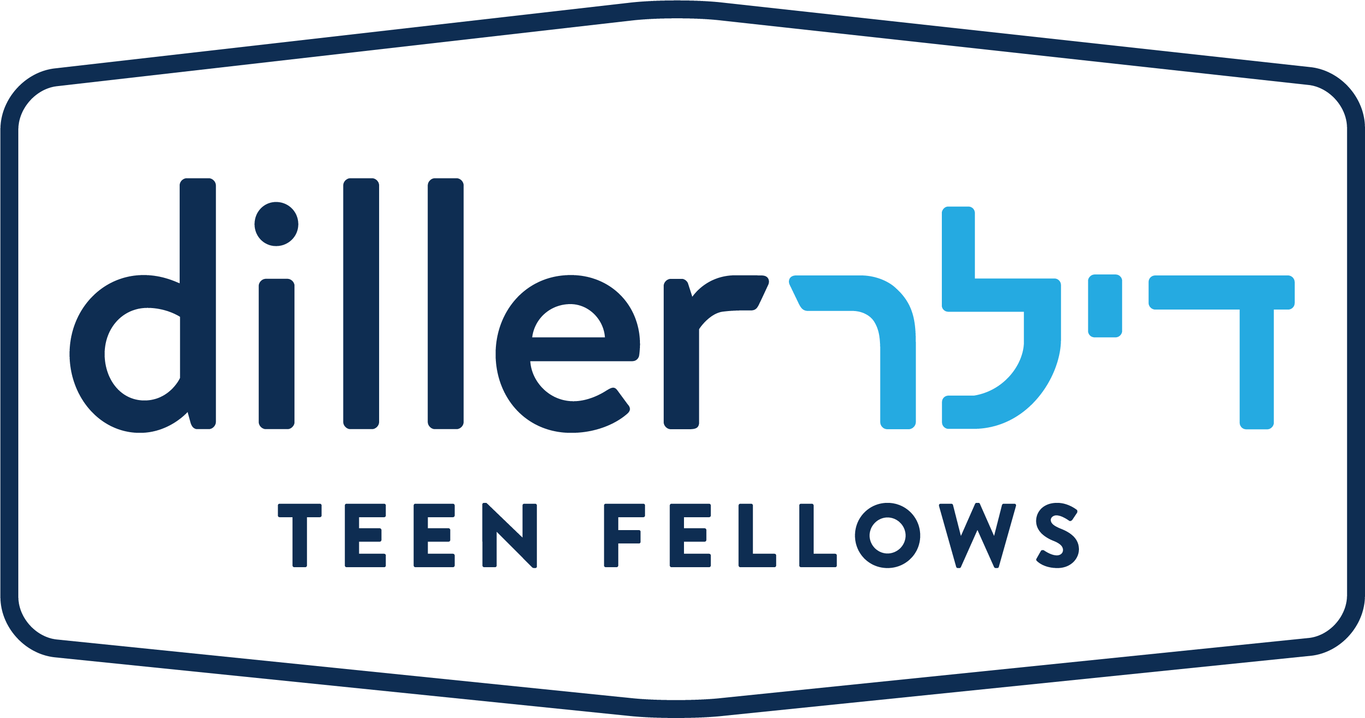 Diller Teen Fellows Program
