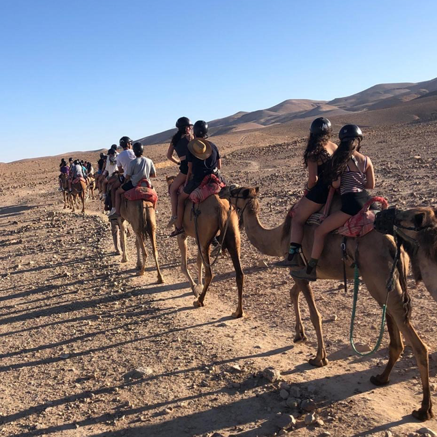 Jewish teens going on a camel back ride in the Israeli desert. 